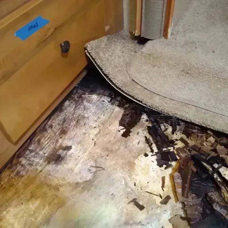 Wood Floor Water Damage in Golden, CO